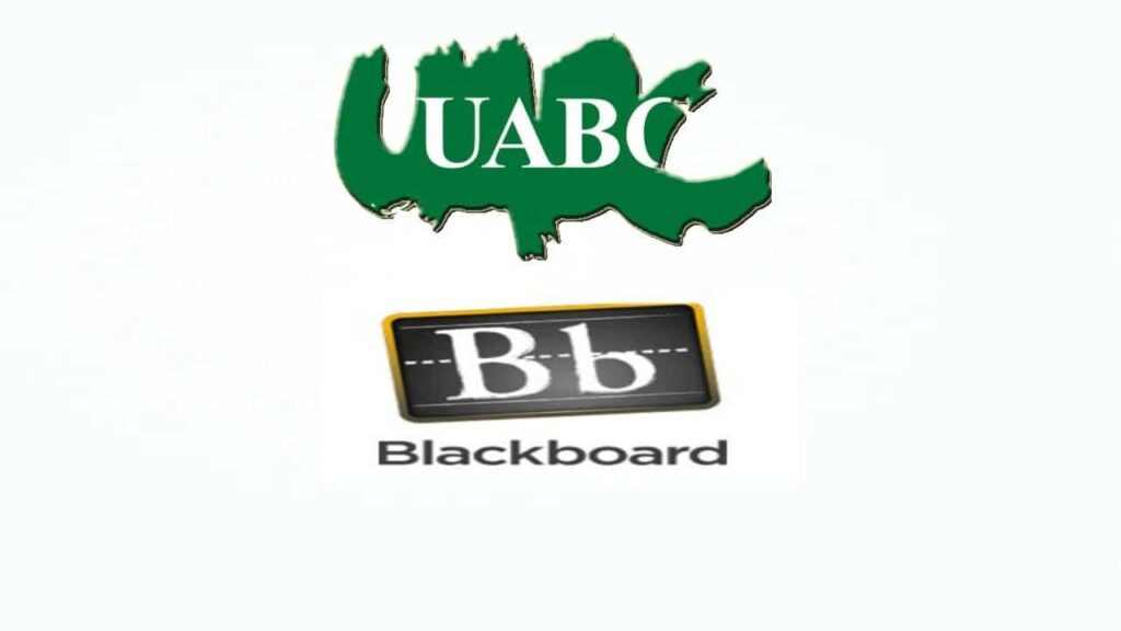 Blackboard UABC: Cómo ingresar, habilidades digitales y más