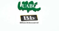 Blackboard UABC: Cómo ingresar, habilidades digitales y más