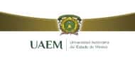 Maestrías en línea UAEMEX